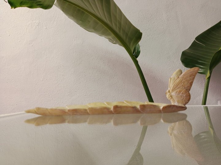 imgi 4 WhatsApp Image 2025 02 28 at 12.54.32 1